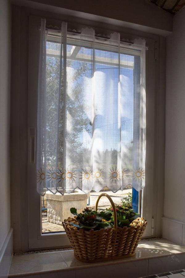 Olive Tree Apartments Umag Ngoại thất bức ảnh