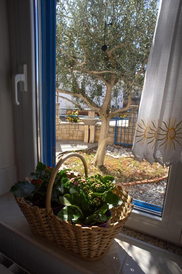 Olive Tree Apartments Umag Ngoại thất bức ảnh